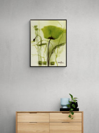 Coquelicot Vert I - Img 2