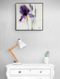 Iris II - Img 2