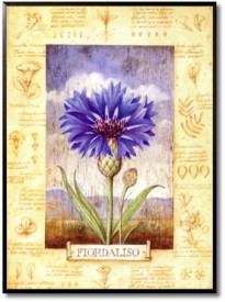 Fiordaliso