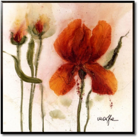 Orange Lily II