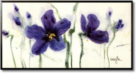 Pansies VII