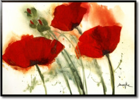 Poppies in the Wind IV