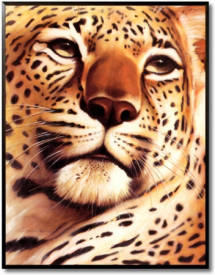 Rest on Serengeti