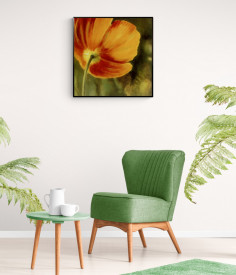 Tablou living flori - Coquelicots dans le Soleil III - Img 2