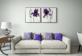 Iris II - Img 4
