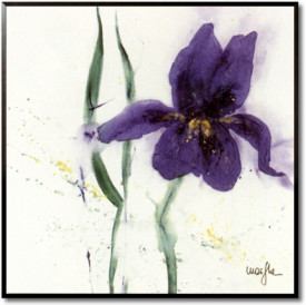 Iris I
