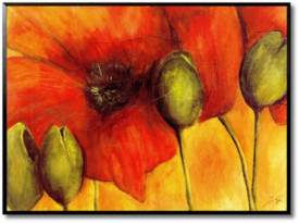 Poppy Buds I