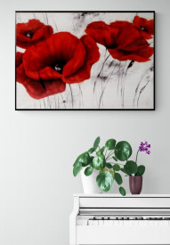 Tablou flori living - Pavot d Hiver II
