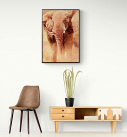 Tablou living animale - Elefant Study - Img 3