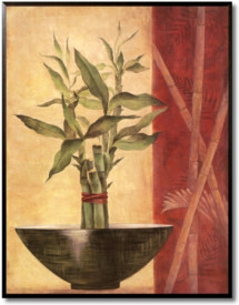 Tablou living tema Asia - Lucky Bamboo II