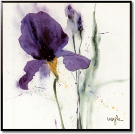 Iris II