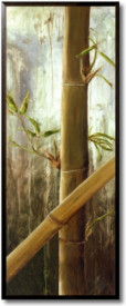 Rainforest I