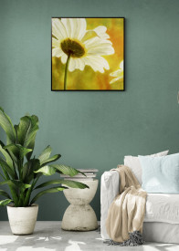 Tablou living flori - Marguerites dans le Soleil I