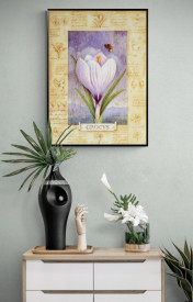 Crocus
