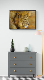 Lion du Serengeti