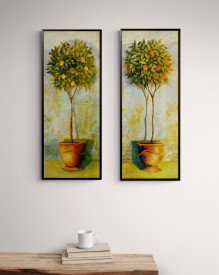 Orange Tree - Img 3