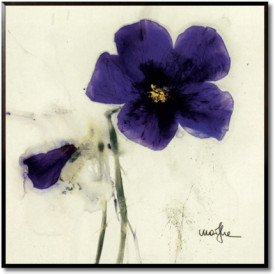 Pansies I