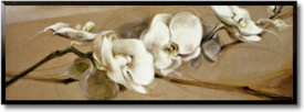Tablou living flori - Les Orchides III