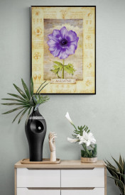 Anemone - Img 2