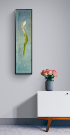 Calla - Img 2