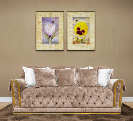 Crocus