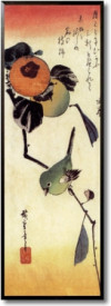 Japanese White-eye