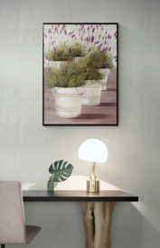 Lavender - Img 2