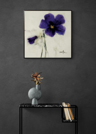 Pansies I