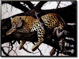 Tablou living animale - Laziness