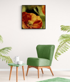 Tablou living flori - Coquelicots dans le Soleil II - Img 2