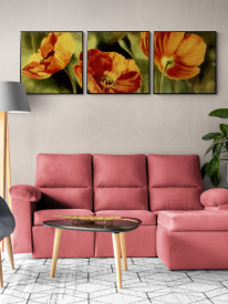 Tablou living flori - Coquelicots dans le Soleil II - Img 3