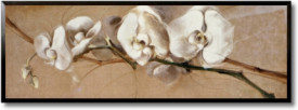Tablou living flori - Les Orchides IV