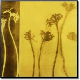 Tablou living flori - Stems II