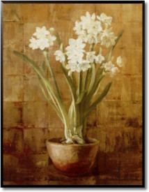 Tablou living flori - White Narcissus on Bronze