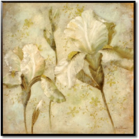Blooming Iris