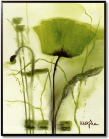 Coquelicot Vert I