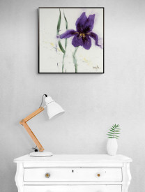 Iris I - Img 2