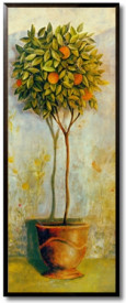 Orange Tree