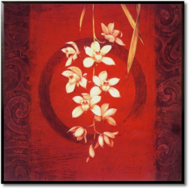 Orchid Harmony