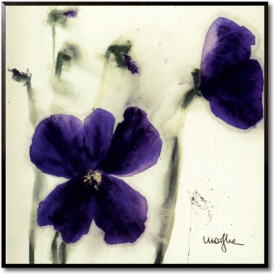 Pansies III