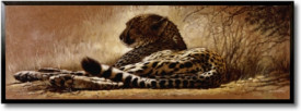 Tablou living animale - Little rest