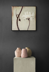 Tablou living flori - Ivory Blossom - Img 2