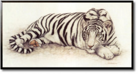 Bengal Pride