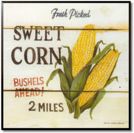 Fresh Picked Sweet Corn