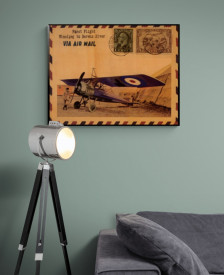 L'Aviateur