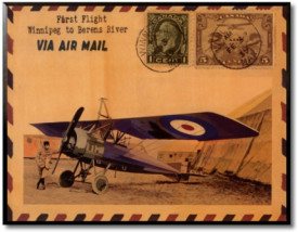 L'Aviateur