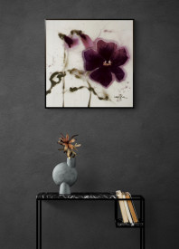 Pansies IV
