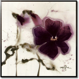 Pansies IV