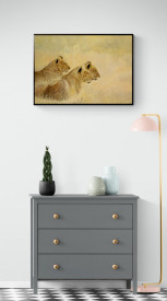 Panthera Leo