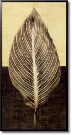 Tablou living - Palm Leaf I